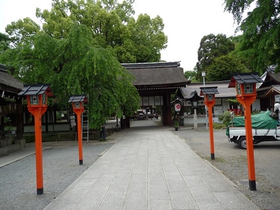 P1040556.JPG