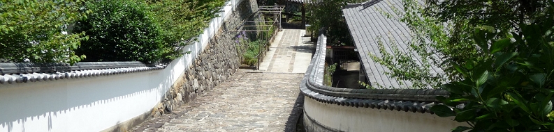 P1040658.JPG