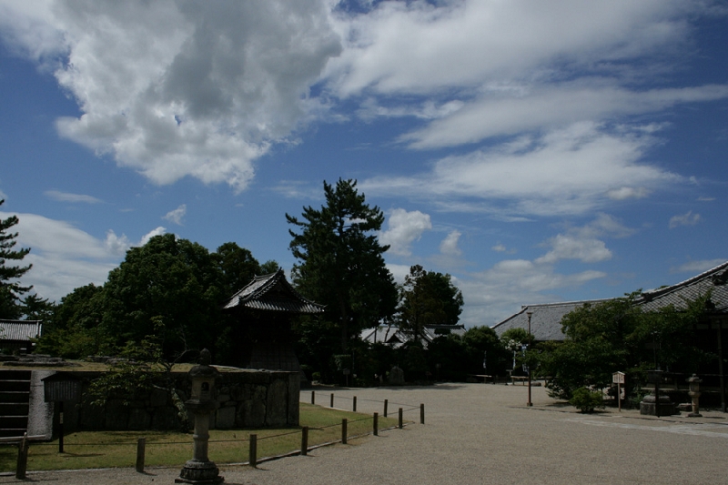 IMG_6726.JPG