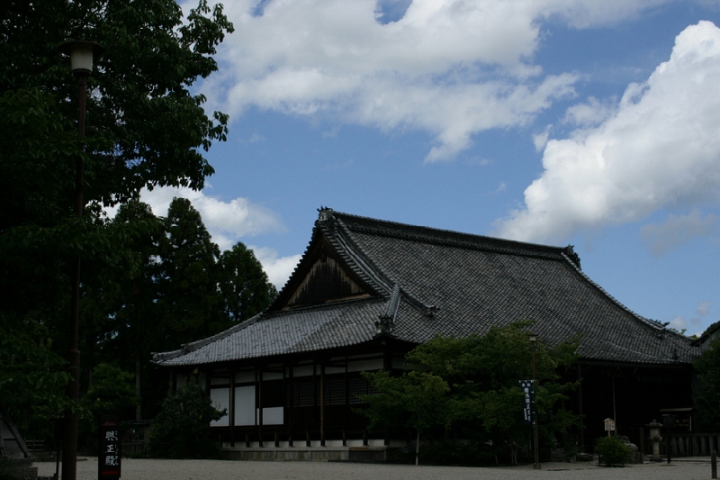 IMG_6743.JPG