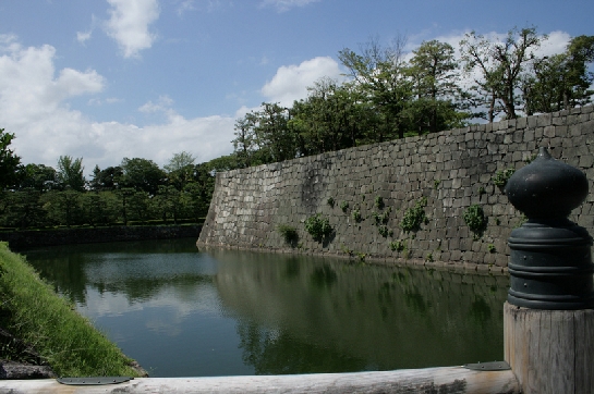 IMG_6812.JPG
