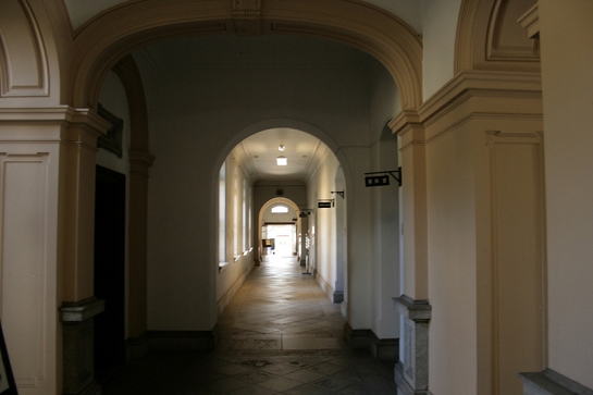 IMG_7001.JPG