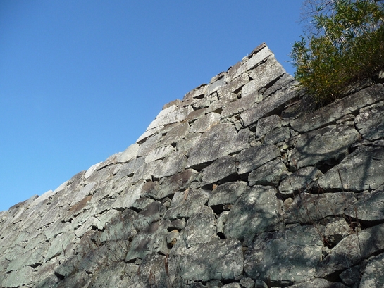 1-P1050261.JPG