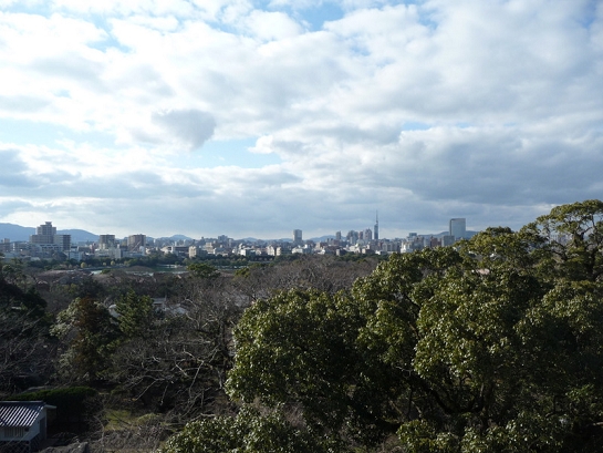 1-P1050263.JPG
