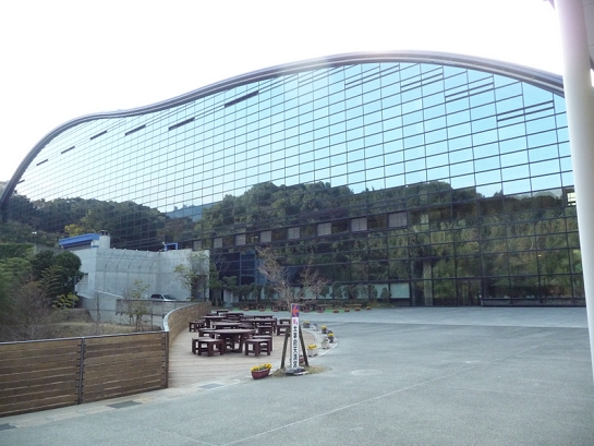 1-P1050365.JPG