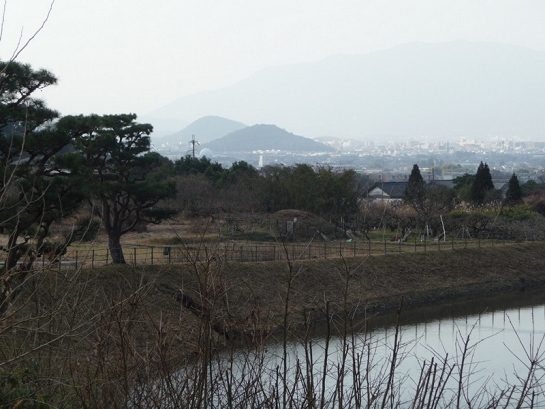 1-P1050186.JPG