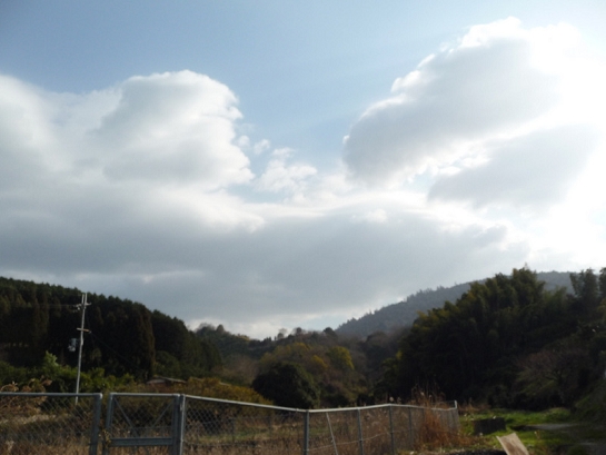 1-P1050202.JPG