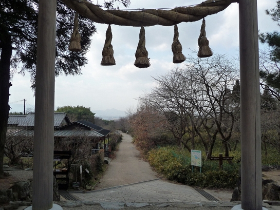 1-P1050211.JPG