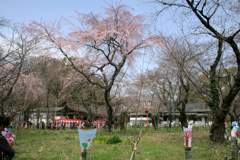 1-1-IMG_7181.JPG