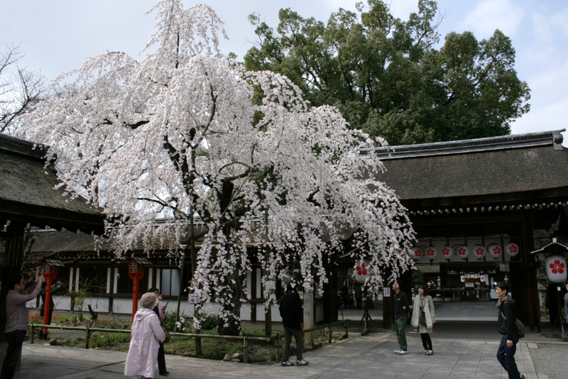 1-1-IMG_7187.JPG