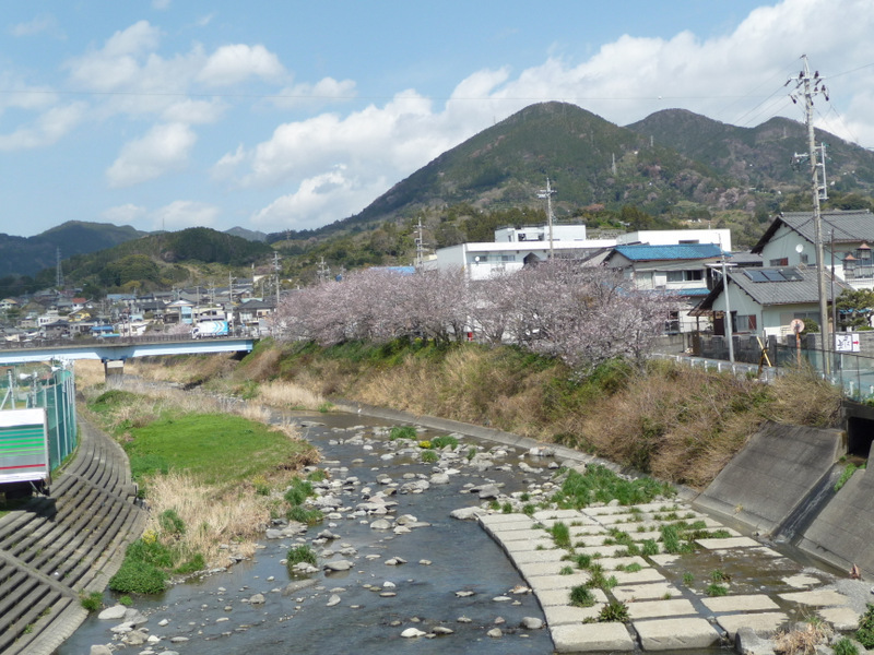 1-P1050525.JPG