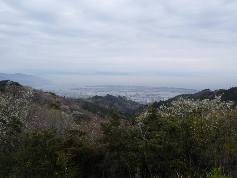 1-P1050653.JPG