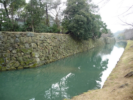 P1040350.JPG