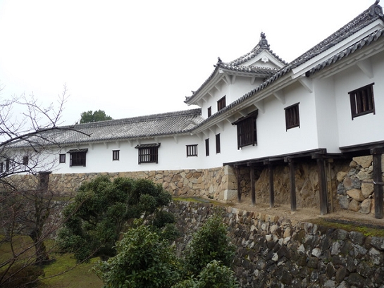 P1040380.JPG