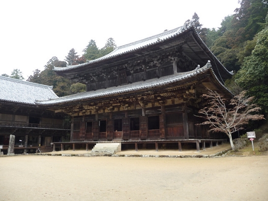 P1040410.JPG