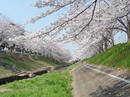 P1040449.JPG