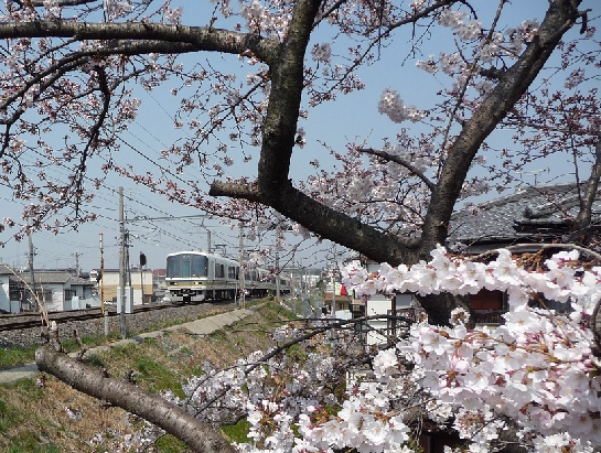 P1040459.JPG