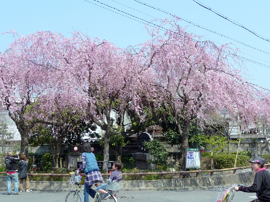 P1040465.JPG