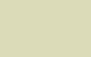 kochi-oogame.gif